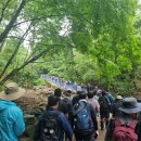 청계산 한국기술사회 옥녀봉 행사 산행기록 및 사진 -2- 이미지