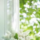 경기대로652번길 이미지