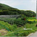 여주-0812 이미지