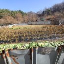 가대 농장 이미지