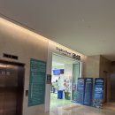 서광리-6 | 제주도“댕냥별”후기 제주도 신화월드서머셋 댕냥별 제주도중문 아이랑 가볼만한곳 추천