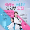 도담태권도 이미지