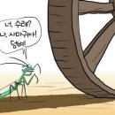 랑단 이미지