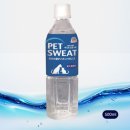 멍냥캉스 이미지