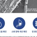 바이바니
