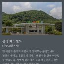 스테이2 | 문경 사담재 스테이 2편｜조식 후기 & 20개월 아기와 함께 가본 주변 여행지