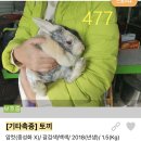 신영재동물병원 이미지