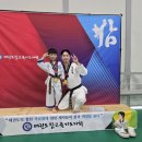 맑은누리태권도 이미지