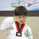 성우태권도장 Daum카페