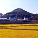 원주굽이길 8코스 태조왕건길 이미지