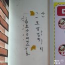 강원특별자치도지역버스노동조합 금강고속 | 속초 청초호 횟집 로컬 맛집 춘길호