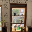 바다가 되고 싶어요 이미지