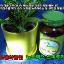 (주)도기넛헬스앤뉴트리션 | 하와이산스피루리나추천,쇼핑의달인에서,뉴트렉스스피루리나를 만나세요