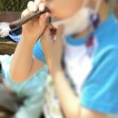 숲체험 리틀 포레스트 이미지