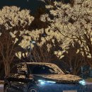 뉴오토카클리닉 | 2026 더 뉴 아우디 Q5 40 TDI 콰트로 S-line 블랙에디션 시승기! 포토 제원 가격_수입 중형 패밀리카 추천