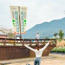 대흥중학교 | 충청도 여행지 충남 나들이 10월 예산 여행 가볼만한곳