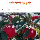 햇살사과