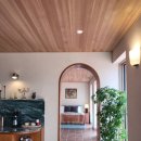 부에나두모 이미지