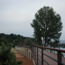 금산자전거대여소 이미지