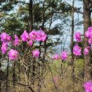 가현산약수터 이미지