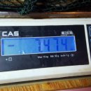 DMZ실내낚시터 이미지