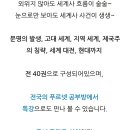 글로벌 세계사 이미지