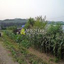전좌로 Daum카페