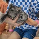 다솜 - 광산구 월곡중앙로37번길 19 | 아이와 함께 가기 좋은 청도가볼만한곳, 청도생태체험관 '다솜생태관'후기