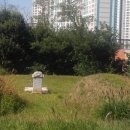 월성박씨종중묘역 이미지