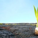 마음가짐 이미지