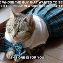 쓰담쓰담해줄개 이미지