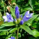 용담초교 이미지