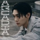 첸 티브이데일리