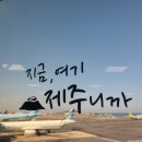 여행시 렌트카 내돈내산 이용후기 : 아이오닉6 2박3일...제주THE렌트카 &amp; 제주공항렌트카) + 블랙박스...