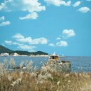 해광사 | 부산 기장 오랑대 해광사 용왕단, 바다의 안녕을 기원하는 곳에서 간절한 소원 빌고 왔어요.