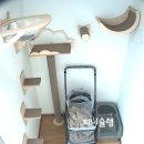 고양이미용&호텔 냥집사 이미지