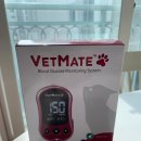 벳메이트 | 내돈내산 혈당측정기 벳메이트 사용방법 고양이귀찌르기 15번만에 성공 후기