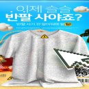 허브여행사주 이미지