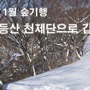 2024년 1월 숲기행 / 1.13.(토) / 무등산 천제단으로 갑니다 이미지