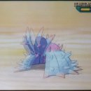 꼬꼬랜드 이미지