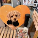 수란스튜디오