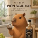 원스피릿 | 드디어 마셔봤어요!! 원소주 스피릿 솔직 후기! 한때 품절 대란을 일으킨 프리미엄 증류식 소주의 맛은?