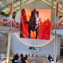 해양수산복합단지 | 강화도에 고래가 나타났다? 미디어 아트에 압도 당하는 복합 문화 공간 '수산 공원' 방문기