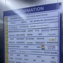 시티독 | 수원 영통역 상주견 많은 카페 [시티독] 후기 | 강아지 없이 방문할 수 있는 카페