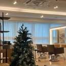 3656 | 잠실새내 미용실 @ 차홍룸 잠실점 - 스킨브라운 염색 후기, 손유빈 디자이너