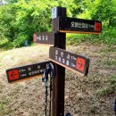 오인숲 | [양산 오봉산 산행] 푸른 숲길 속 찾아온 아찔한 경고, 심장마비 전조증상을 경험하다