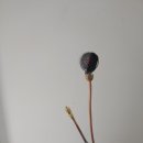 주촌서희스타힐스 이미지