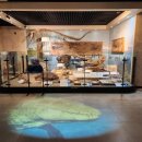 쥬라기풀빌라 이미지