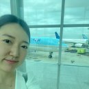 703 | 대한항공 KE703 A330-300, B787-10 드림라이너 이용후기