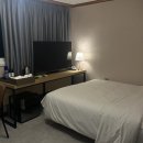 강남987호텔 이미지